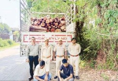 पढ़वा-बालकरूपी मार्ग पर अवैध लकड़ी के साथ दो लोग गिरफ्तार