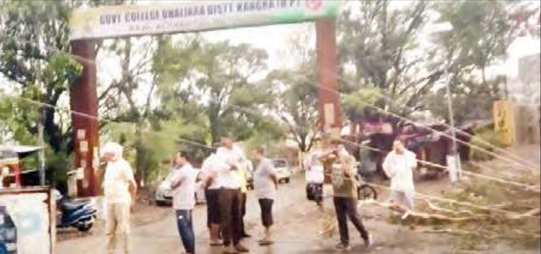 ढलियारा में तूफान से गिरा पेड़, बिजली की तारें टूटीं, दो पोल टूट...