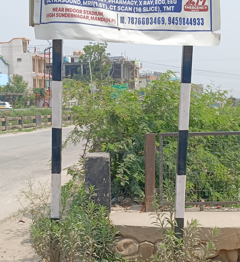 वाहन चालकों के लिए पुल के साथ उगी झाड़ी बनी परेशानी का सबब