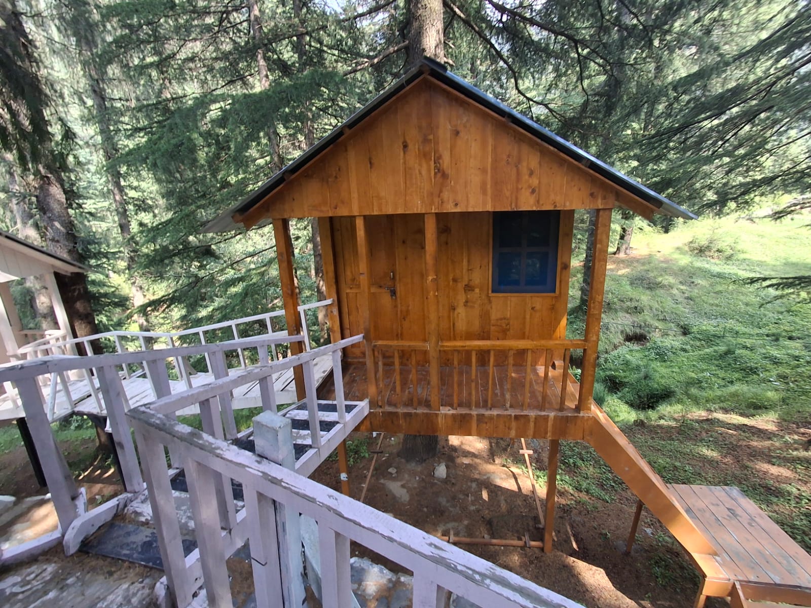 हिमाचल का नया ‘सैरगाह’: भुलाह का बायोडायवर्सिटी पार्क बना देशभर के पर्यटकों का पसंदीदा ठिकाना