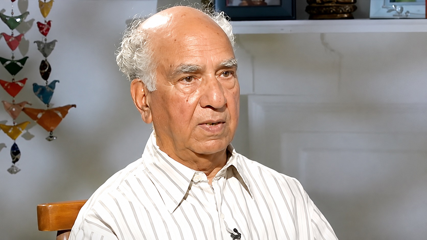 सड़कों से सुप्रीम कोर्ट तक गूंजा आवारा पशुओं का मुद्दा, शांता कु...