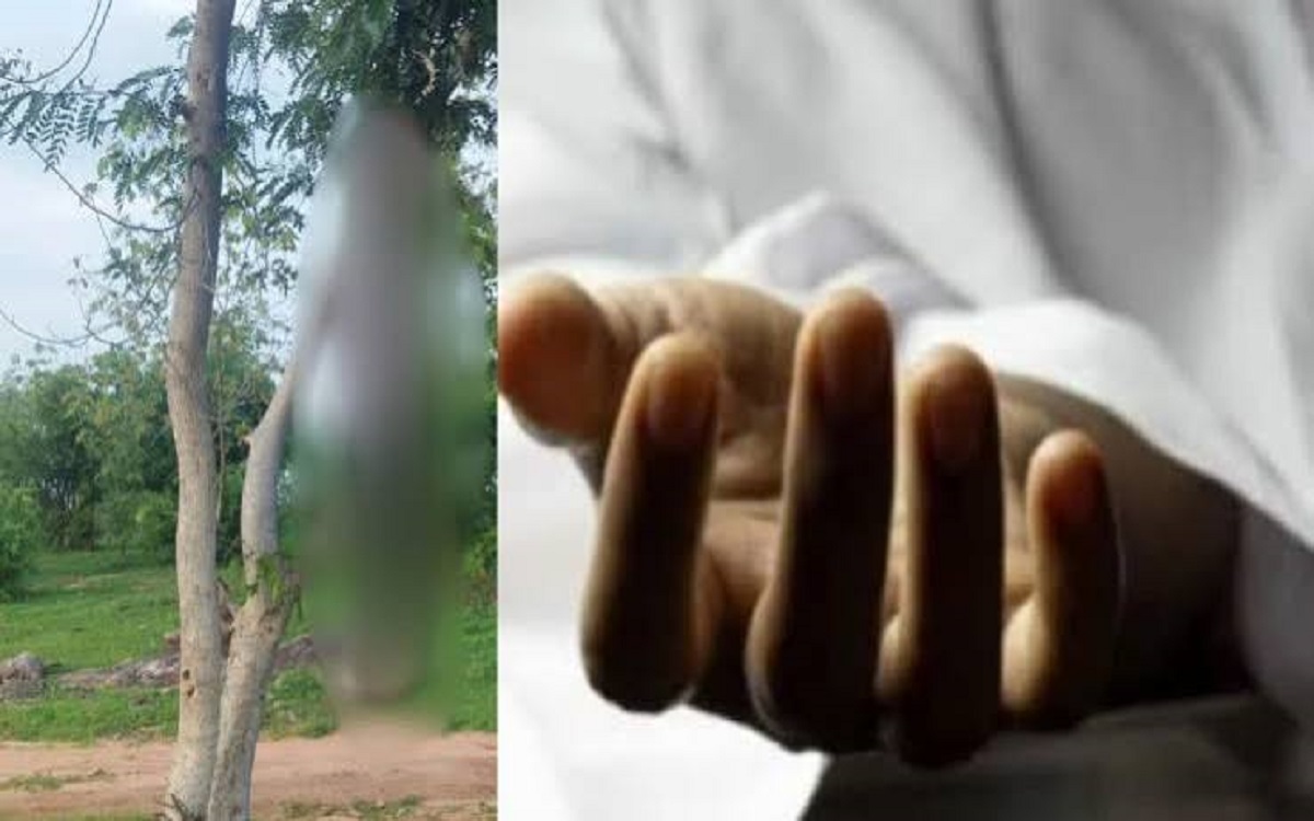 शिमला में सेब के बगीचे में पेड़ से ल.टका मिला 34 वर्षीय महिला का...