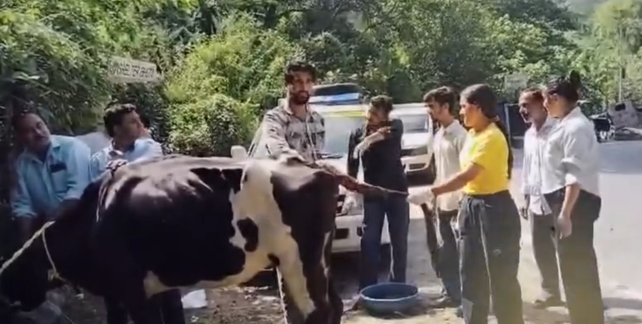 बेसहारा गाय का भोटा में किया गया उपचार, टैक्सी चालकों ने मैड़ पश...