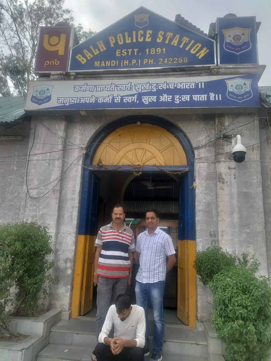 जिला मंडी पुलिस के विशेष दल पीओ सेल ने अर्की के हवाणी कोल से वांछित आरोपी किया गिरफ्तार, जांच में जुटी पुलिस 