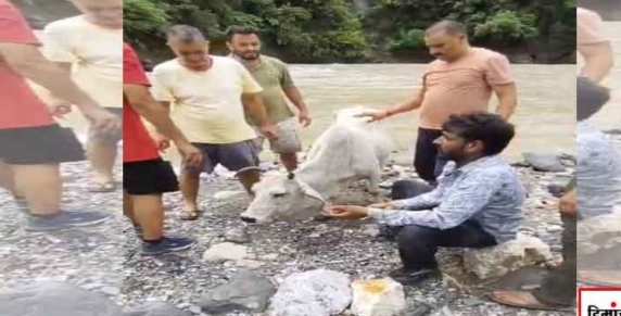 14 घंटे के हाई-टेक रेस्क्यू ऑपरेशन से बची गौ माता की जान