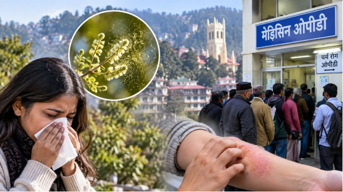 शिमला: मौसम बदलते ही बढ़ी स्वास्थ्य संबंधी परेशानी, पोलन से चर्म रोग और एलर्जी के मरीज बढ़े; वायरल की शिकायत लेकर भी अस्पताल पहुंच रहे लोग