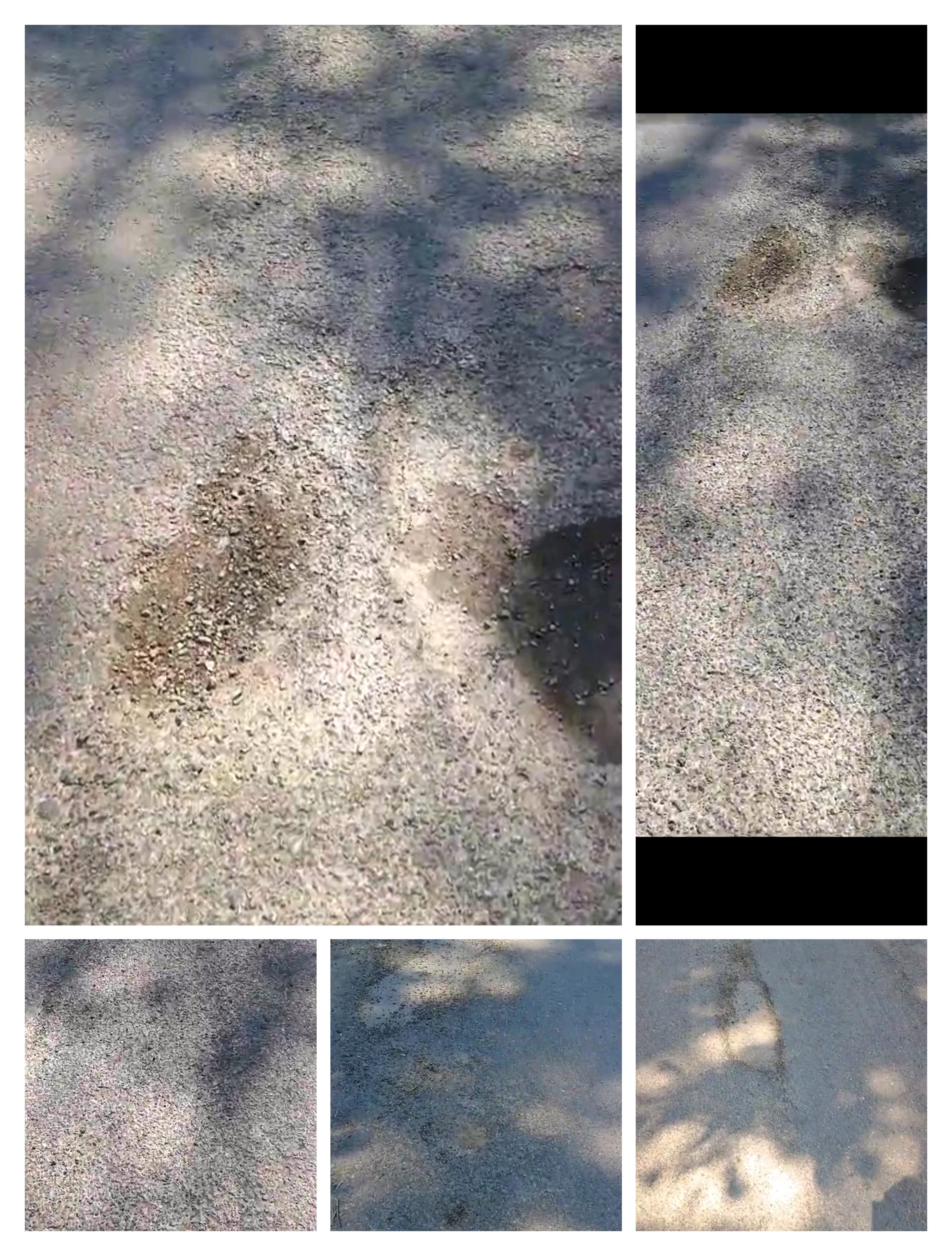 महीनों पहले पक्की की गई बीएसएल ( बी बी एम बी) परियोजना सलापड़ की सड़क गढ्ढों की गिरफ्त में 