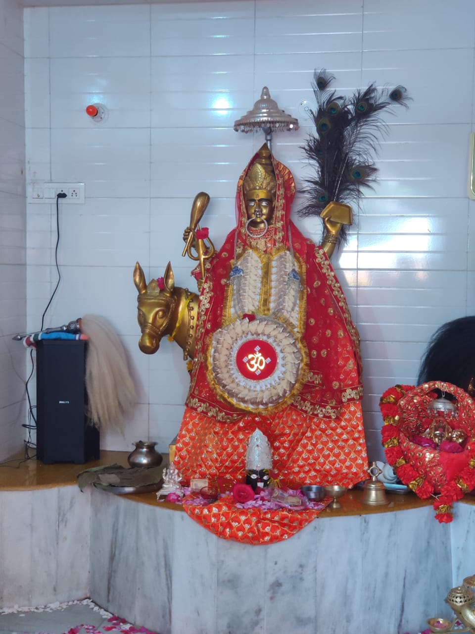 14 जून को ममता भारद्वाज और इसी भारद्वाज शीतला माता मंदिर धर्मपुर में करेंगे माता का गुणगान 