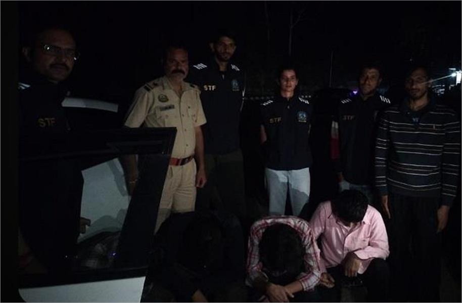 कुल्लू में STF का नशे पर बड़ा प्रहार: 838 ग्राम चरस सहित पंजाब के 4 तस्कर गिरफ्तार