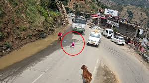 शिमला में पिकअप की टक्कर से 4 साल की बच्ची की मौ*त, आरोपी ड्राइव...