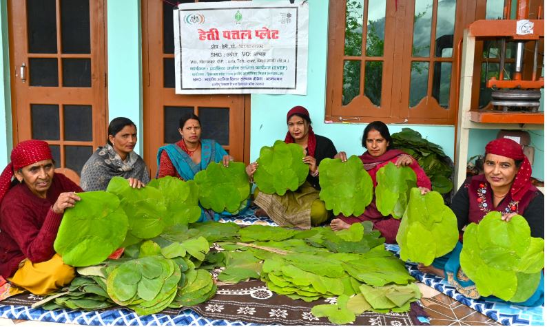 हुनर बना सहारा: मंडी के बिहणधार की महिलाएं पत्तलों से बदल रहीं अपनी तकदीर