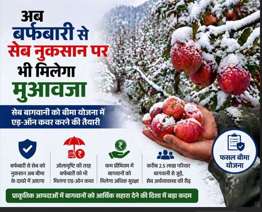 अब बर्फबारी से सेब नुकसान पर भी मिलेगा मुआवजा, बीमा योजना में एड-ऑन कवर लाने की तैयारी