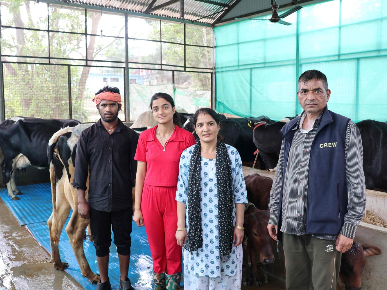 दुग्ध उत्पादन में सकीना डेयरी फार्म बना आदर्श - तुंगल क्षेत्र की युवा उद्यमी के जज्बे ने लिखी सफलता की नई इबारत - प्रतिमाह हो रही दो लाख रुपए की आमदनी - दूध के दाम बढ़ाने पर मुख्यमंत्री को कहा थैंक्यू