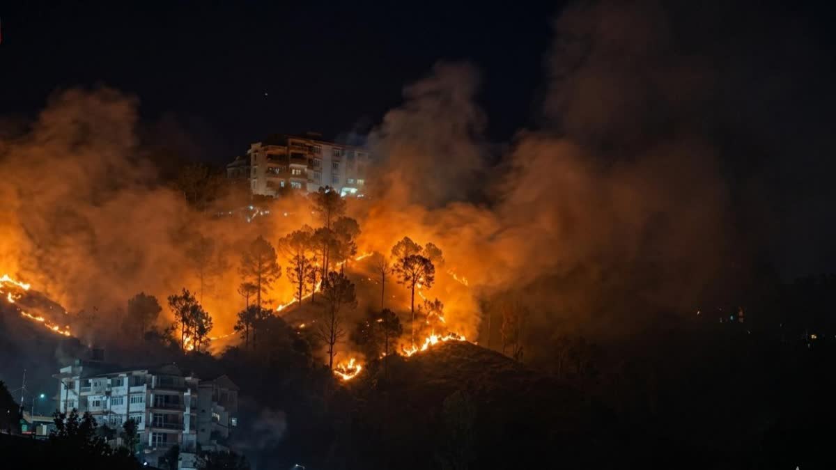 कसौली के जंगल धधके, एयरफोर्स स्टेशन तक पहुंची आग; सेना के हेलीकॉ...