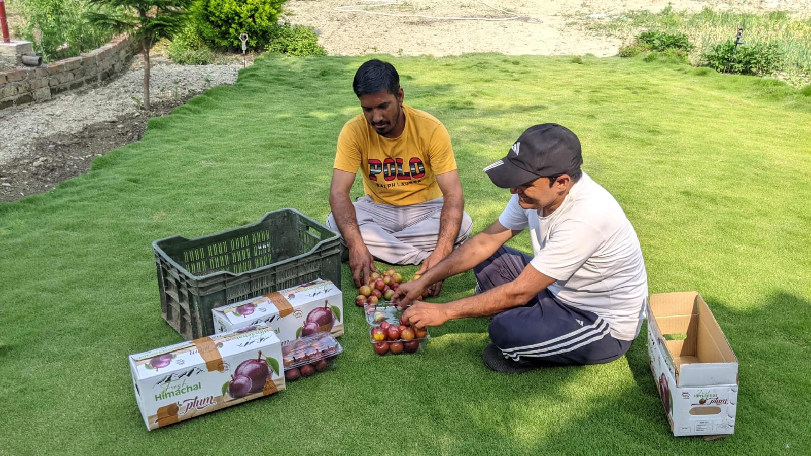एचपी शिवा परियोजना से बदली खगराओं गांव के किसानों की तकदीर