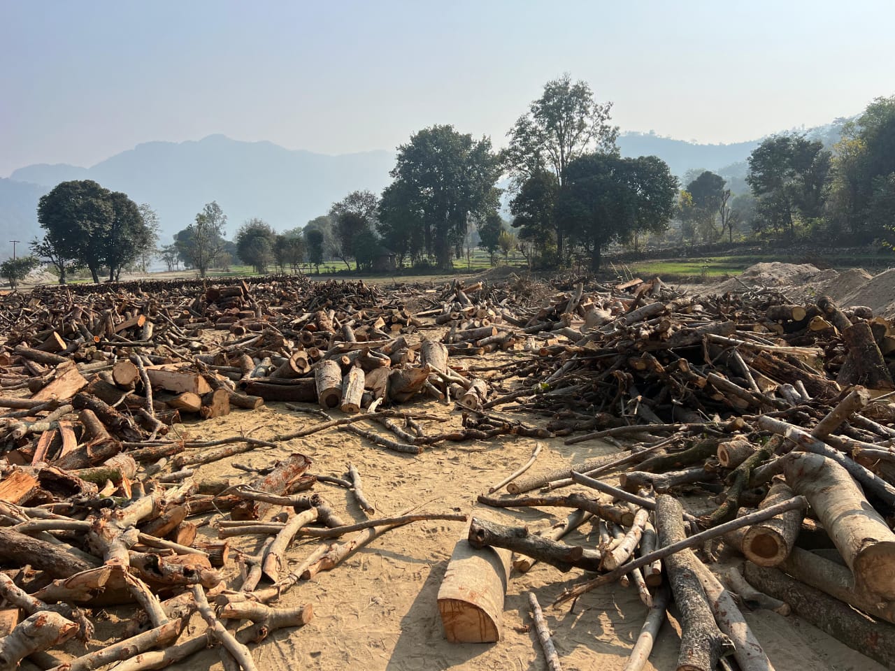 बहरी लकड़ी कटान प्रकरण में हाईकोर्ट की कार्रवाई का माकपा ने किया स्वागत