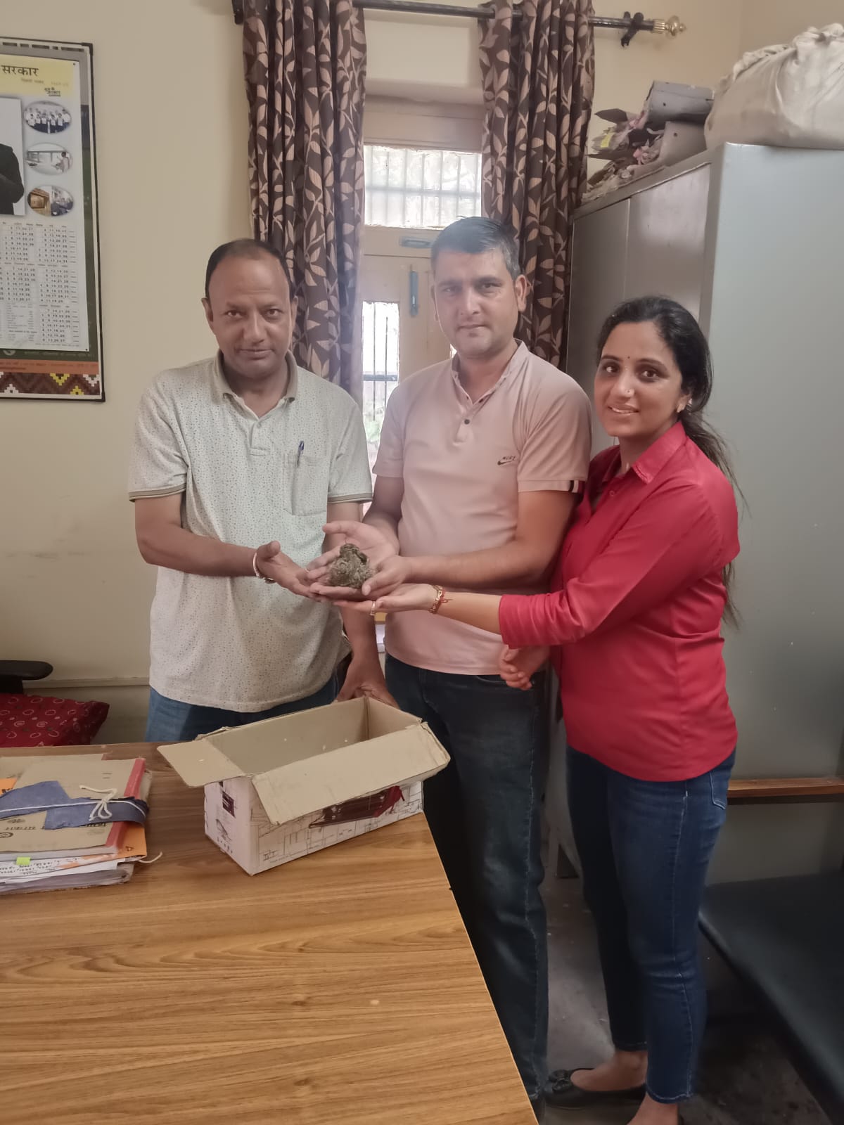 टांडू के विप्लव ने रेस्क्यू कर बचाया नन्हे खरगोश का जीवन, वन विभाग के सुपुर्द किया नन्हा खरगोश