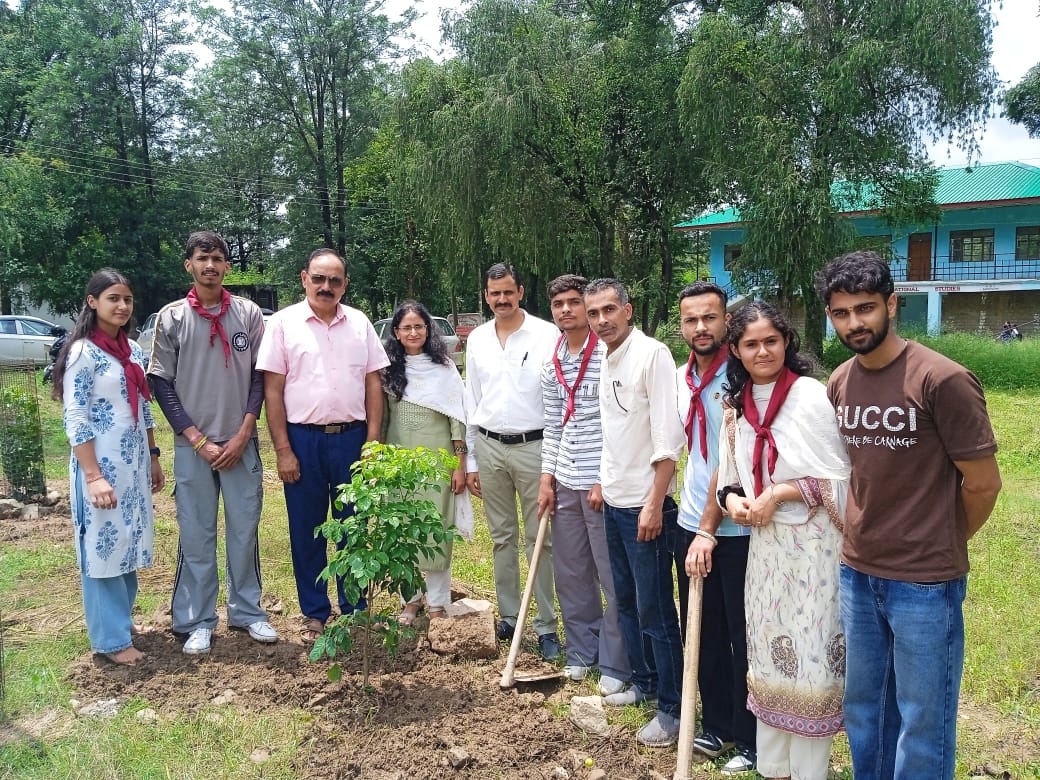 सरकाघाट कॉलेज में एक पौधा मां के नाम अभियान के तहत किया पौधारोपण