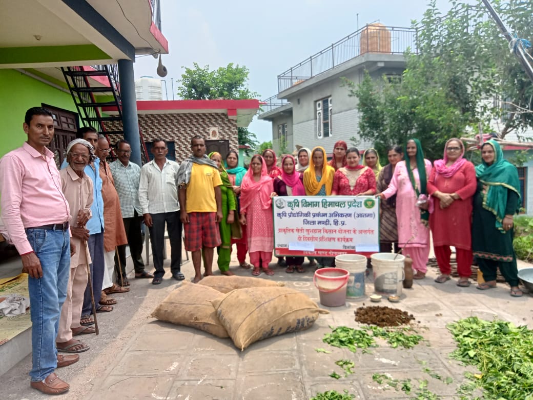जाम्बला में प्राकृतिक खेती पर प्रशिक्षण शिविर आयोजित रेत, चुना और राख के मिश्रण से की जा सकती मक्की के कीड़े की रोकथाम : लेखराज