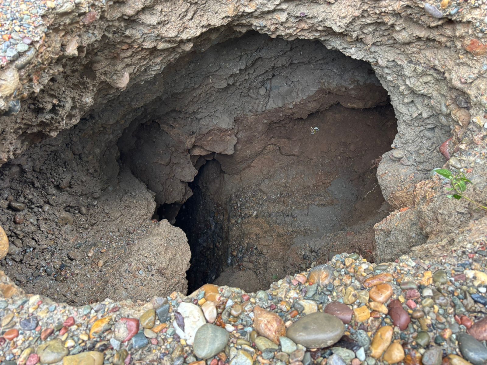 लडभड़ोल-सांडापतन मार्ग धंसा, यातायात ठप  स्कूली बच्चों और नौकरीपेशा लोगों की बढ़ी मुश्किलें