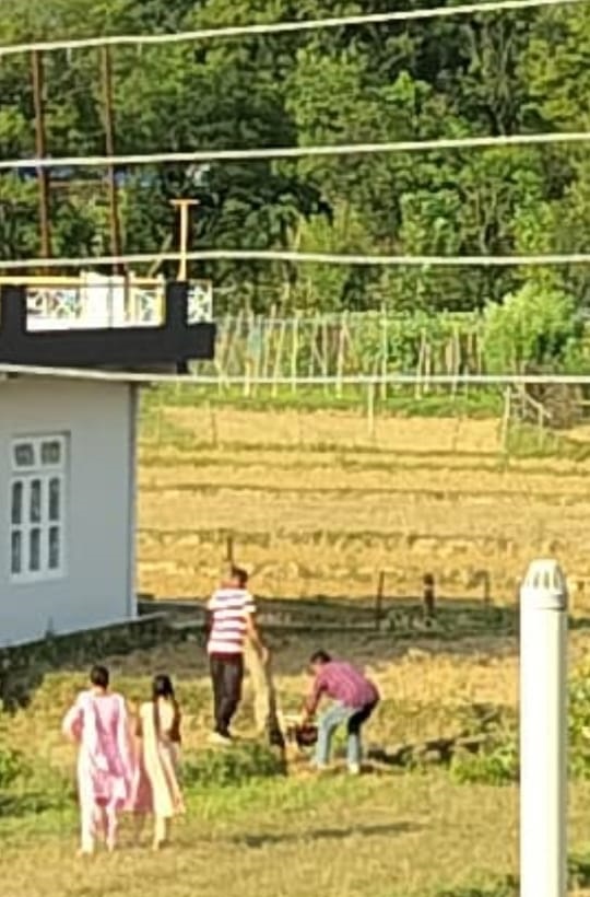 पर्यावरण दिवस पर पेड़ काटा