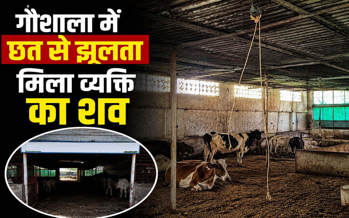 शिमला: गौशाला में मिला व्यक्ति का श.व, छत से लटका देख सहमा परिवार