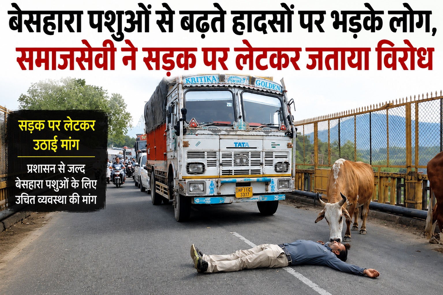 बेसहारा पशुओं से परेशान समाजसेवी का अनोखा विरोध, सड़क पर लेटकर उ...