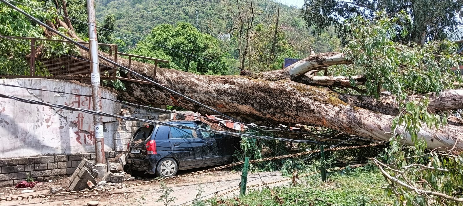 मंडी में अंधड़ से मचाया कहर, जड़ से उखड़े कई पेड़, जिलेभर में सुबह 6 बजे बरपा कहर