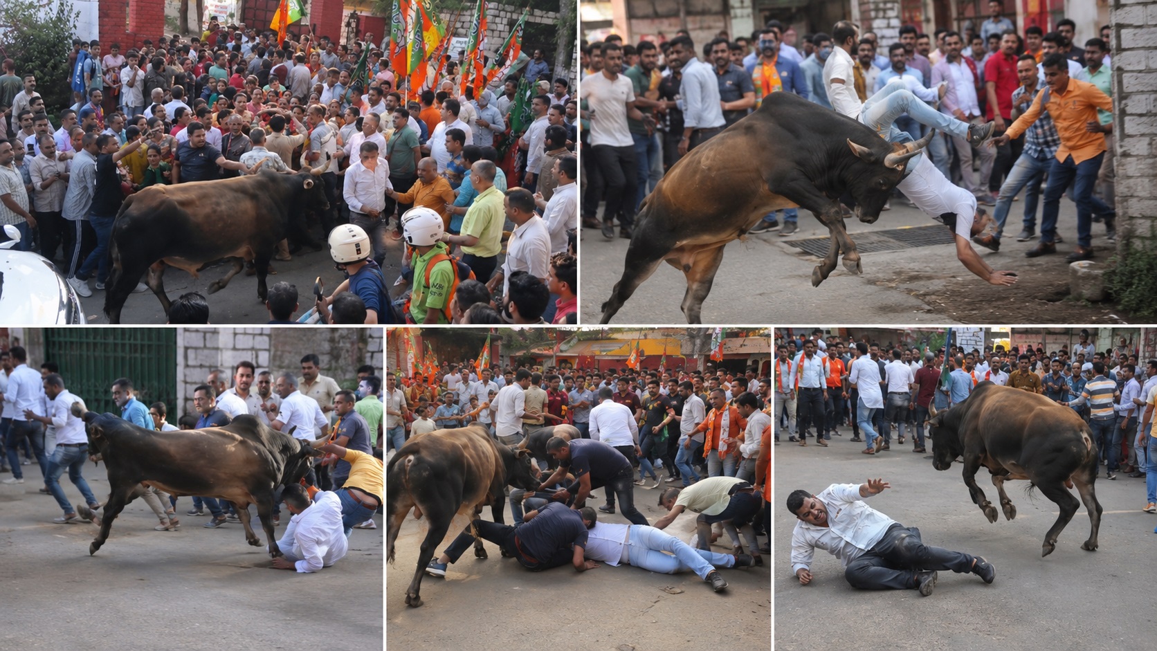 जोगिंद्रनगर में जीत का जश्न बना दहशत का मंजर: उग्र सांड ने BJP स...