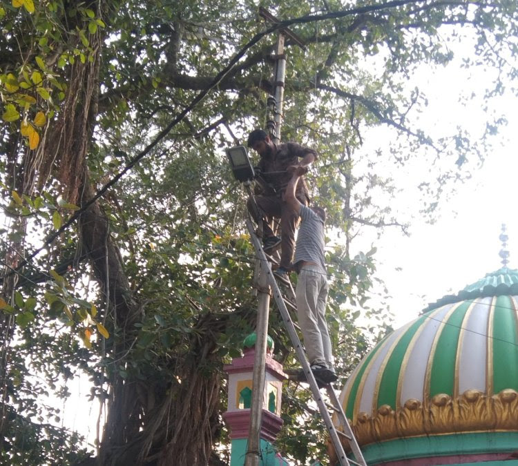 पक्का टैंक क्षेत्र में बंदरों के उत्पात से बिजली टेढ़ घन्टे रही गुल