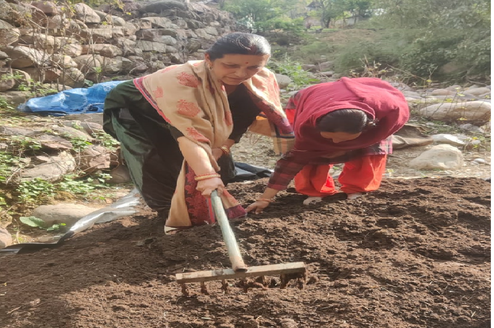 जैविक खेती को बढ़ावा: एफ़पीओ ने बनाई उच्च गुणवत्ता वाली केंचुआ खाद