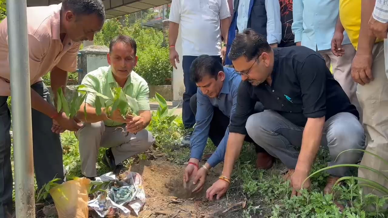 जोगिंद्रनगर में 'एक पेड़ मां के नाम' अभियान के तहत पौधरोपण