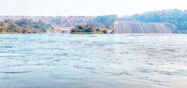 पौंग झील में बढ़ रहा जलस्तर 1292.95 फुट किया रिकॉड