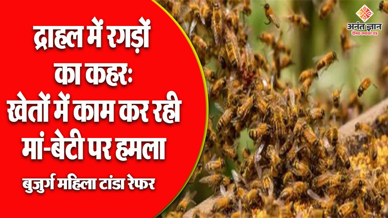 द्राहल में रगड़ों का कहर: खेतों में काम कर रही मां-बेटी पर हमला, बुजुर्ग महिला टांडा रेफर