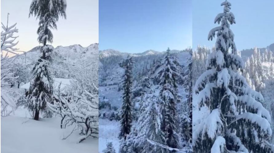 हिमाचल के ऊंचाई वाले क्षेत्रों में बर्फबारी की वापसी, शिमला में ओलों से सेब की फसल बर्बाद