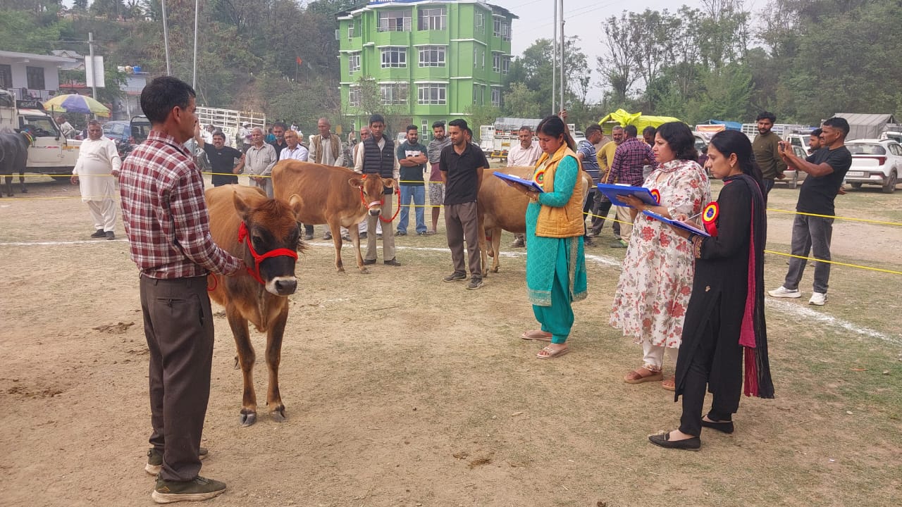 राज्य स्तरीय नलवाड़ किसान मेले के दौरान पशु प्रदर्शनी आयोजित