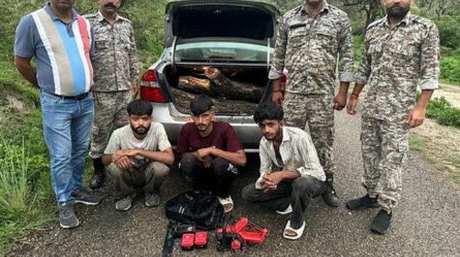 बंगाणा: अवैध खैर कटान का भंडाफोड़, तीन आरोपी कार समेत रंगे हाथ ग...