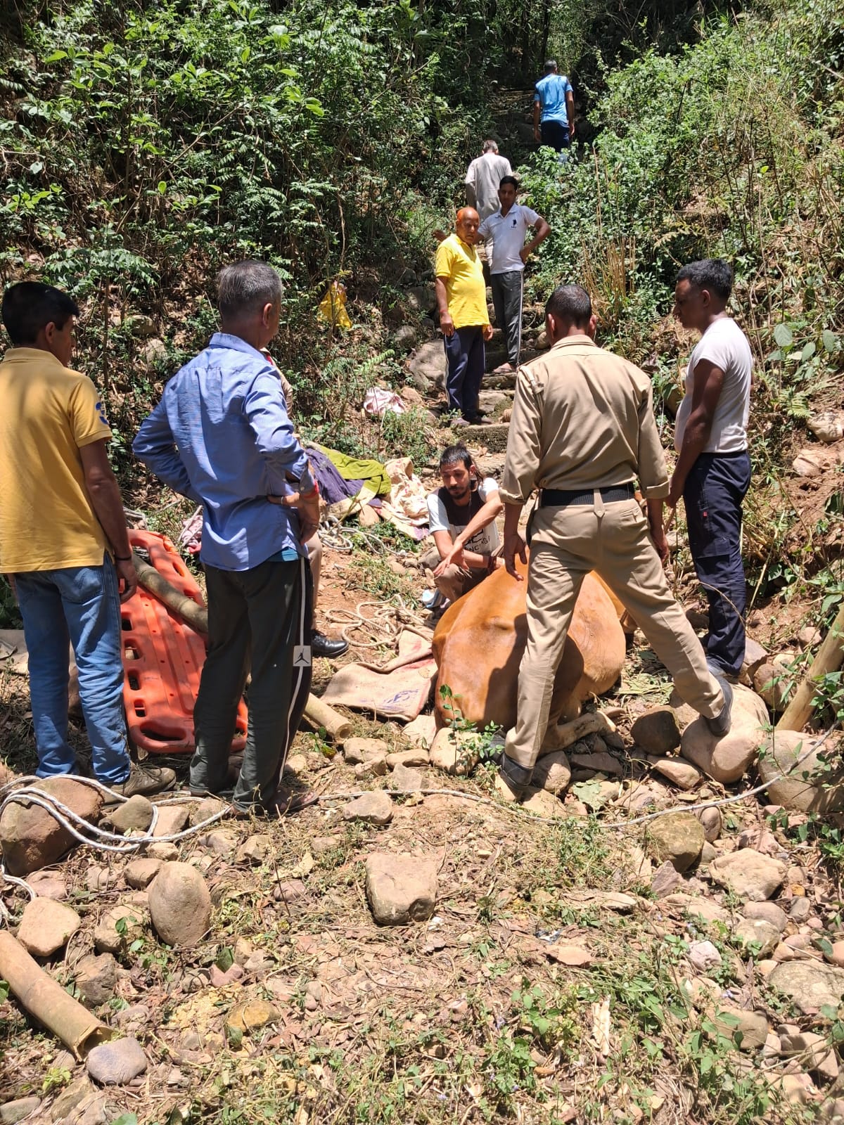 कतकल नाला में गिरी गाय को दमकल विभाग ने किया रेस्क्यू, मालिक ने जताया आभार