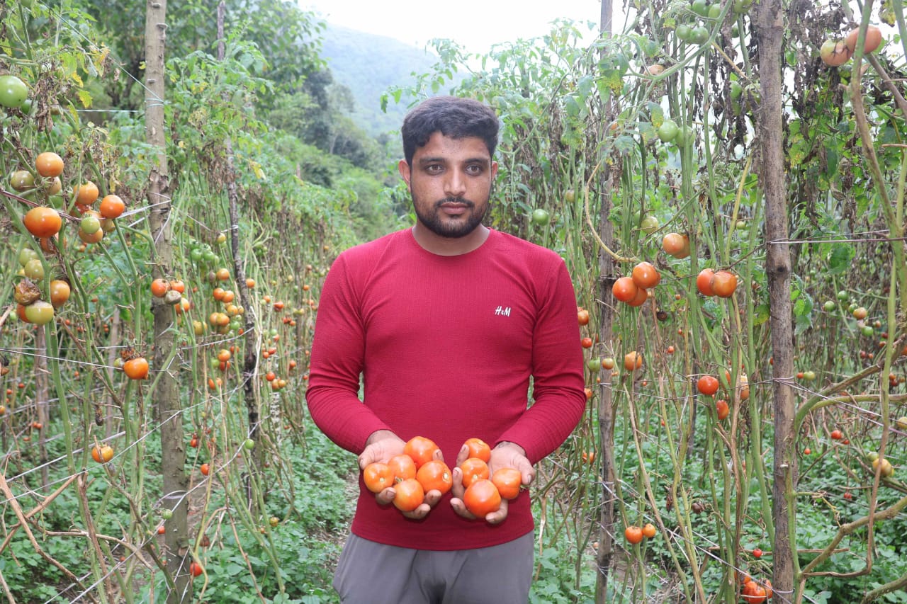 मुख्यमंत्री सुख-आश्रय योजना: सम्मानजनक जीवन व आत्मनिर्भरता की ओर...