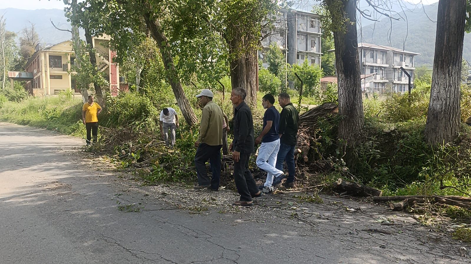 भट्ठा में तूफान से पेड़ गिरा, बड़ा हादसा टला, विभाग की अनदेखी से फिर हो सकता है खतरा