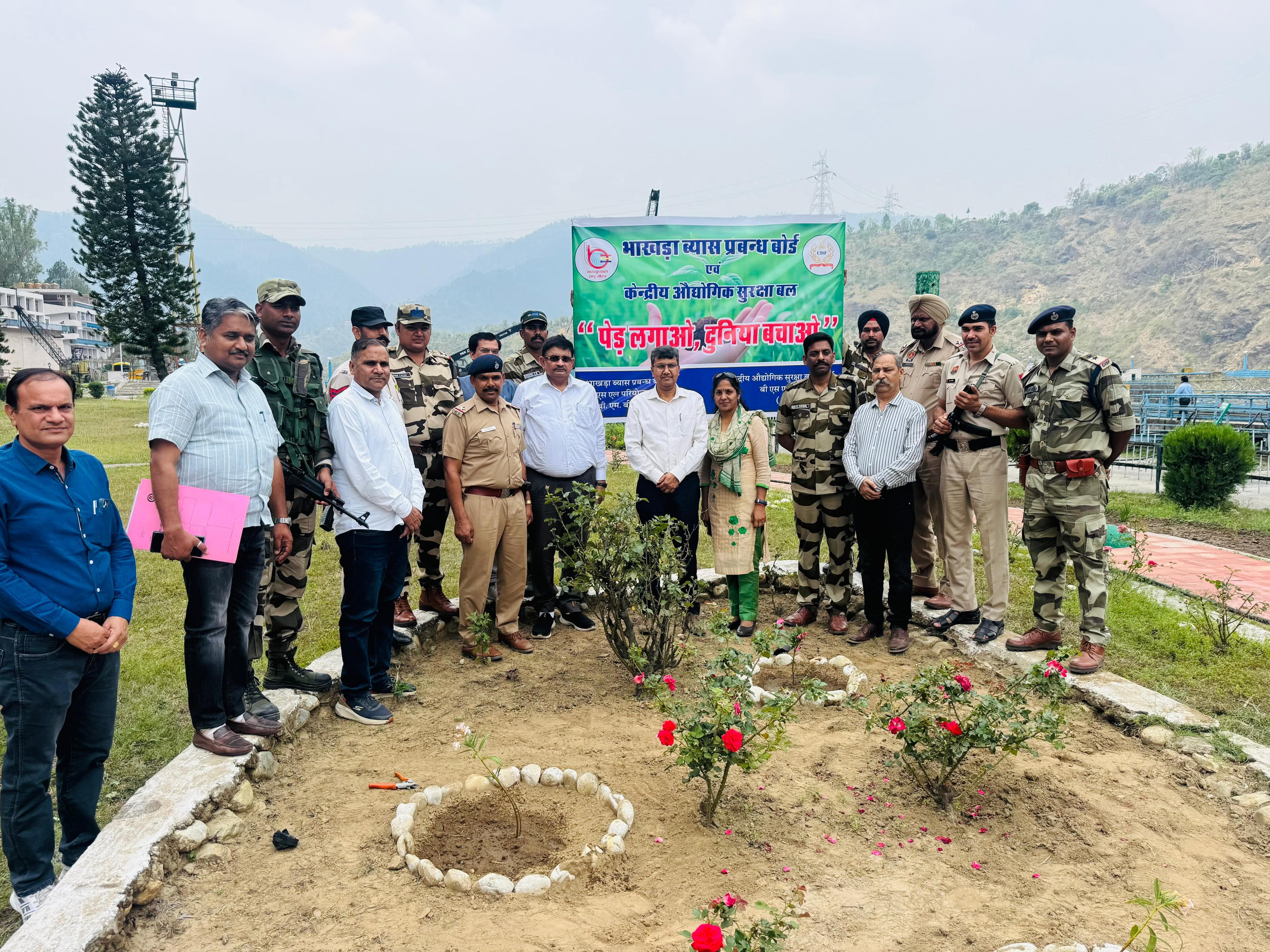 बीबीएमबी के चैयरमैन ने पडोह डैम का किया निरीक्षण