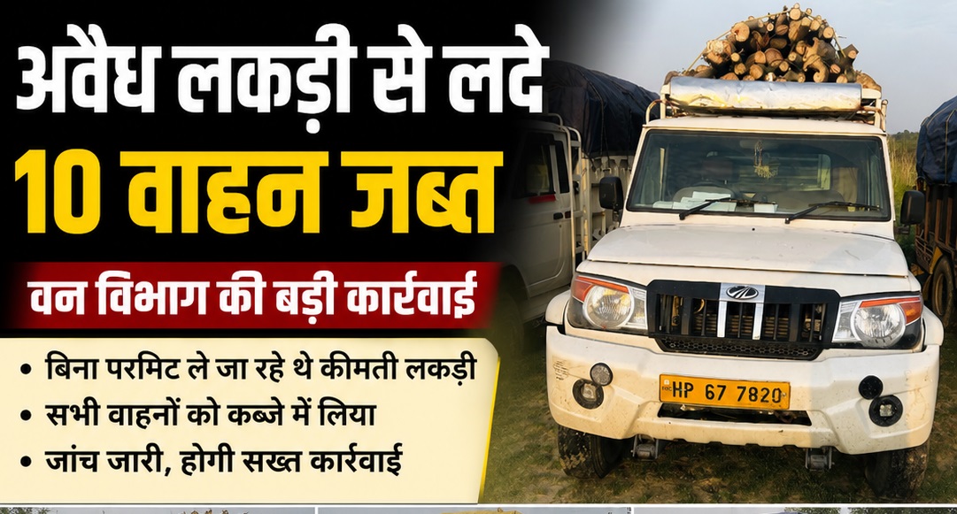 वन विभाग ऊना की बड़ी कार्रवाई, रात भर चले सर्च ऑपरेशन में अवैध लकड़ी से लदे 10 वाहन जब्त